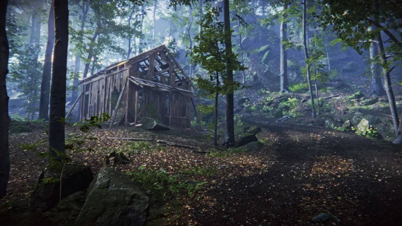 Sous-bois avec cabane en bois dans la brume